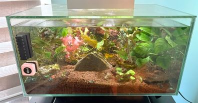 Fluval 23L fish tank
