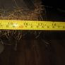 Large table lamp.... Image 4