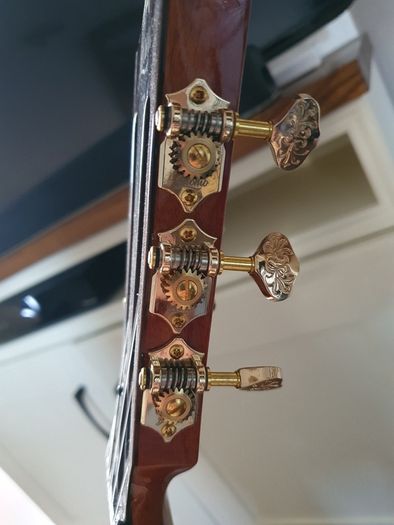 Bromo Nylon String Electric Guitar