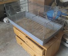 Animal cage