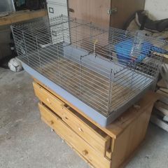 Animal cage