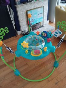 Baby Einstein