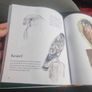 Drawn to Nature: Encounters With Irish Nature (Hardcover) Image 10