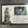 2005 Ireland Central Bank Uncirculated Coin Set Heywood Gardens, Co. Laois. Image 5
