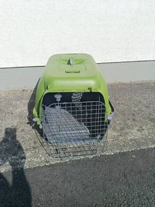 dog carry box