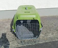 dog carry box