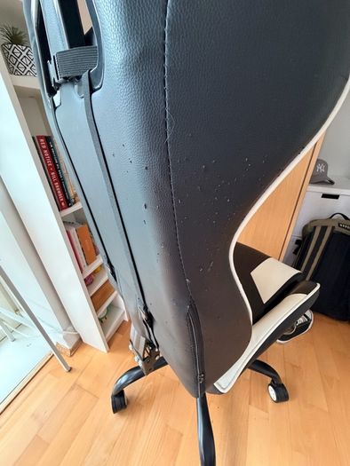 Gamer chair