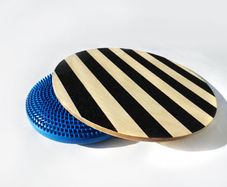 Wobble Board & Air Cushion