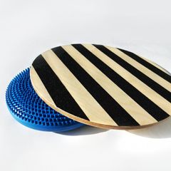 Wobble Board & Air Cushion
