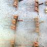 Belt Turner Tines Image 3