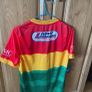 Carlow GAA Jersey Image 2