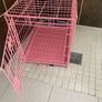 Dog pink I Crate Image 2
