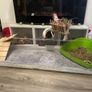 Guinea pig cage 120cm x 45cm Image 2