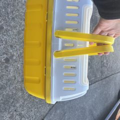 Small pet carrier