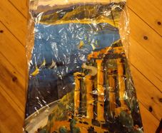 Girls D&G designer dress
