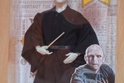 voldemort figure