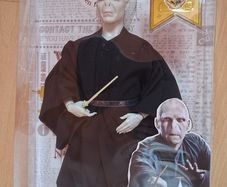 voldemort figure