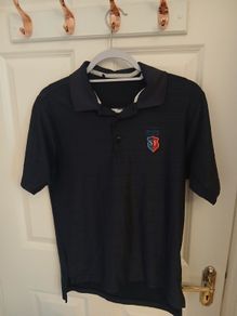 stade francais rugby