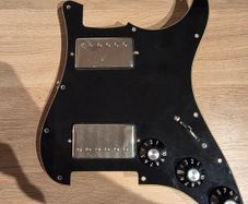Fender Black Top Loaded Pickguard