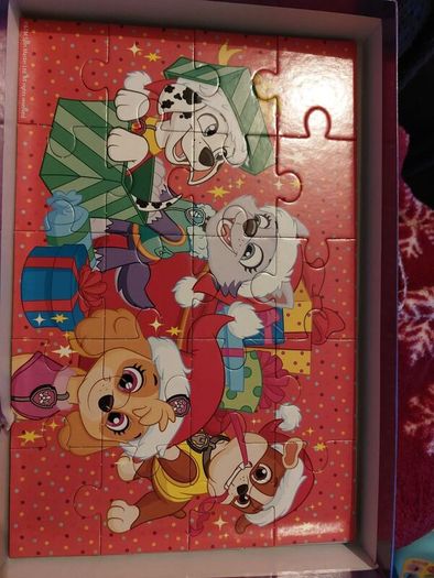Paw Patrol Puzzles (382)
