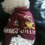 Galway Gaa Image 3