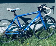 carrera racer