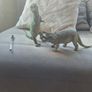 Vintage dinosaur toy Image 3