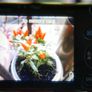 Canon PowerShot SD780 IS Digital Elph with charger Image 3