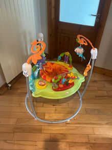 Fisher price bouncer / jumperoo