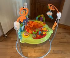 Fisher price bouncer / jumperoo