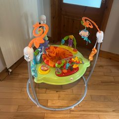 Fisher price bouncer / jumperoo