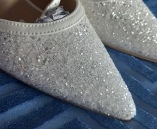 BNWT Stunning sparkling wedding shoes. SIZE 6.5