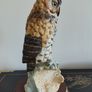 Large Leonardo Collection Vintage Long Eared Owl Image 2