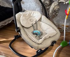 Joie 2 in 1 Serina Hammock Baby Swing