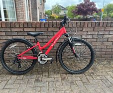 Ridgeback Destiny Girls Bike
