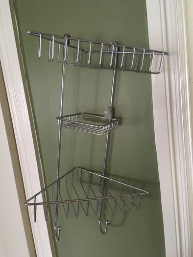 shower tidy