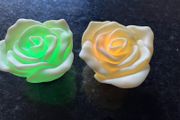 2 Multi Changing Battery Roses