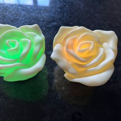 2 Multi Changing Battery Roses