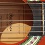 Startone CG guitar Image 4