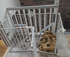 Dog Playpen with