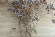 Dried flowers | Events | Weddings | Party