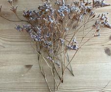 Dried flowers | Events | Weddings | Party