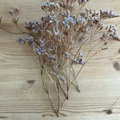 Dried flowers | Events | Weddings | Party