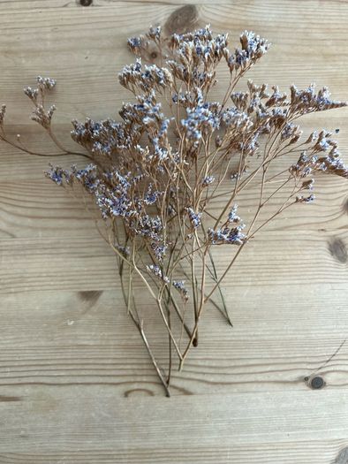 Dried flowers | Events | Weddings | Party