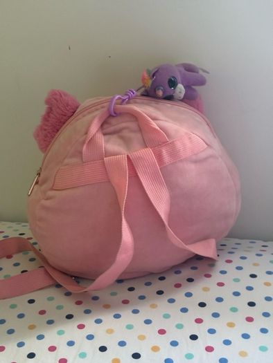 teddy bag