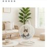 cat Image 3