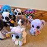 19 Original Ty Beanie Boos, All With Ty Tags And Some With Original Price On Them Image 4