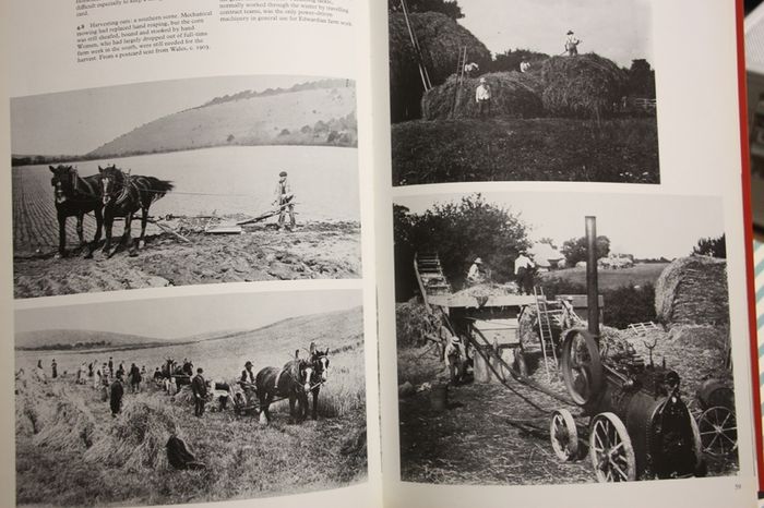 The Edwardians in Photographs