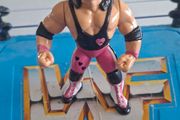 WWF hasbro Bret Hart