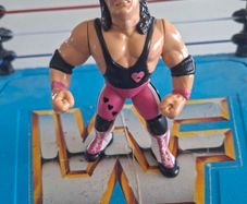 WWF hasbro Bret Hart